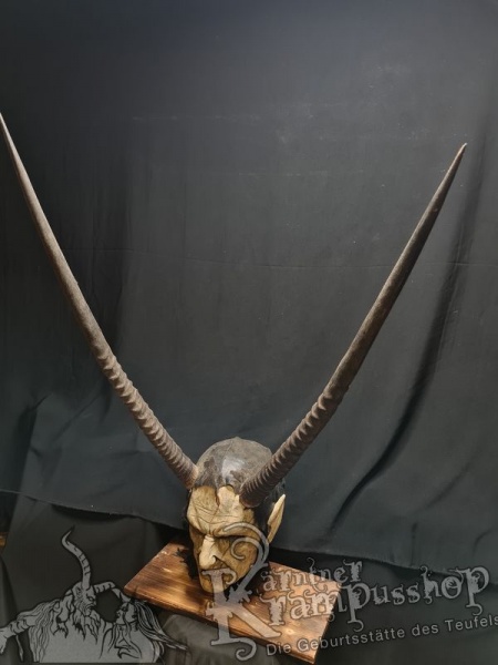 Hörner von der Orix Antilope