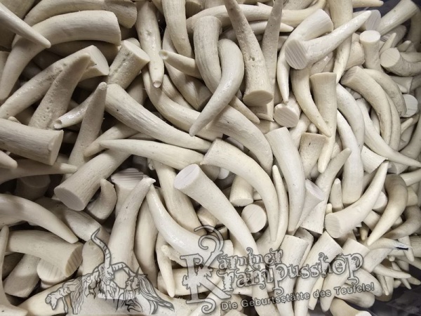 Krallen MITTEL Beige