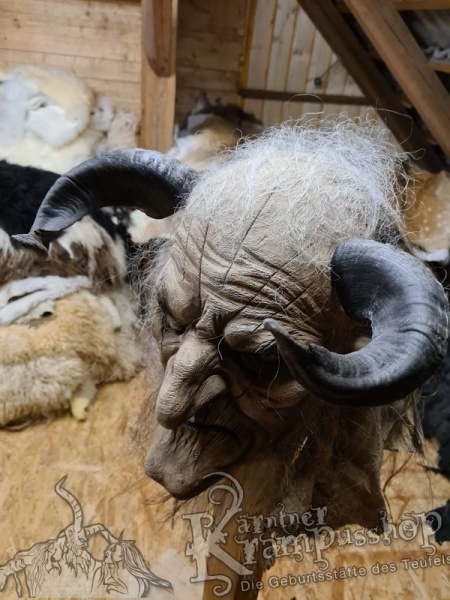 Widder Dunkel bis 30cm