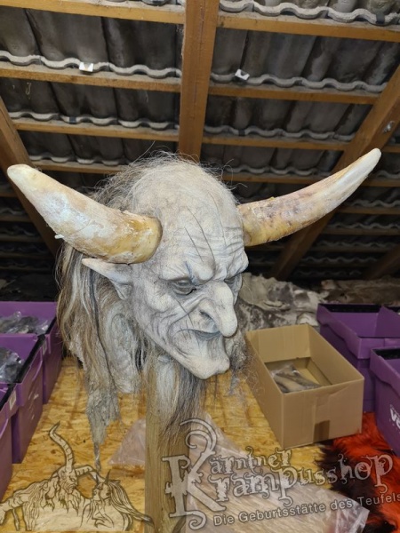 1 Paar Kuhhörner Mittel