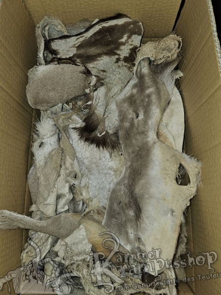 Ledrige Fellreste Hirsch und Gams Natur Grau