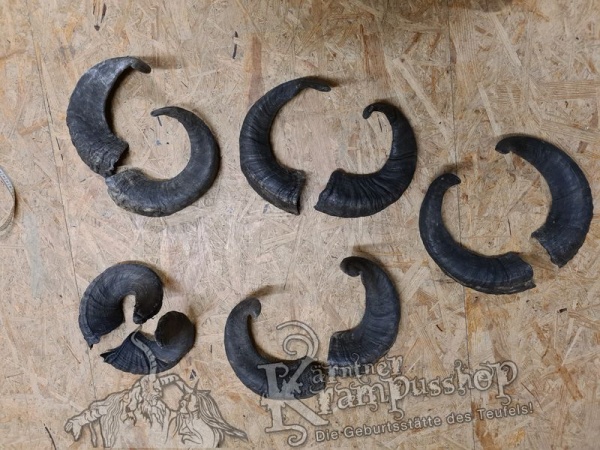 Widder Dunkel bis 40 cm