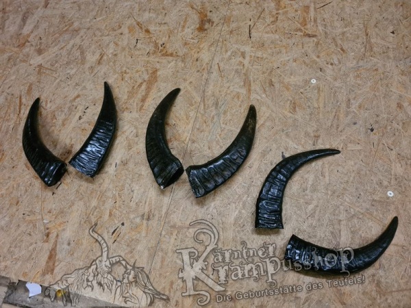 Wasserbüffel Kategorie A