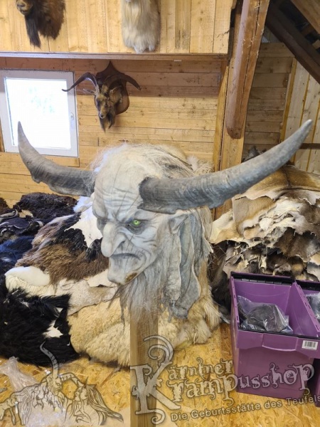 Bock Dunkel Kategorie F