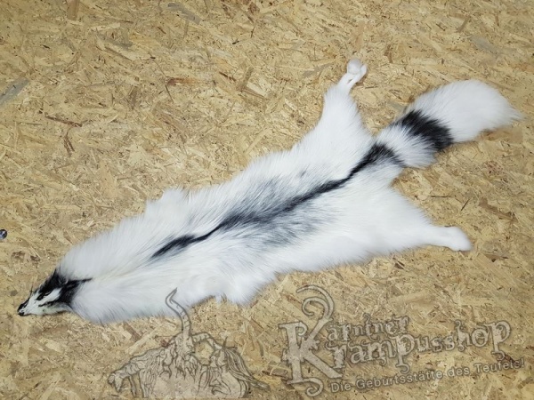 Polar Fuchs grau meliert