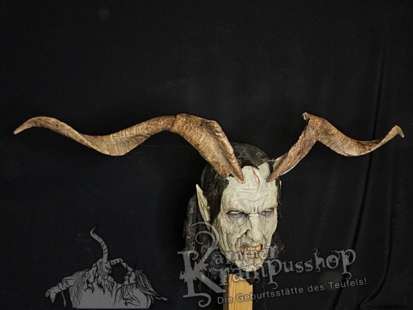 Ziegenbockhörner aus der Region Apulien