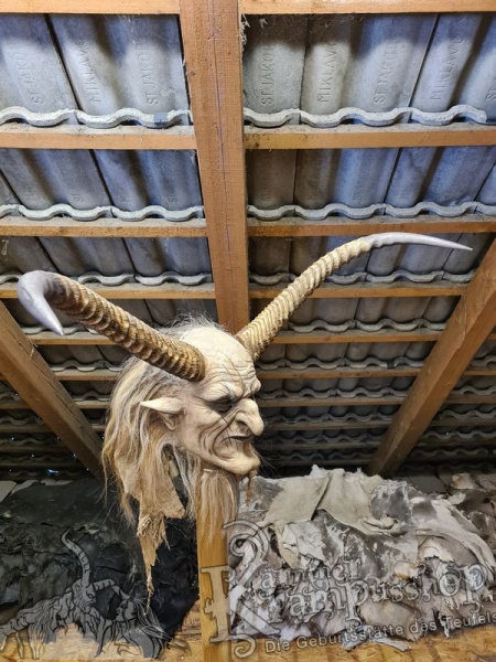 Afrikanische Wasserbock Hörner