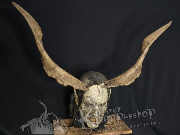 Ziegenbockhörner aus der Region Ampulien