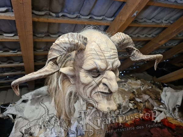 Heimische Widder NATUR Gerade gewachsen