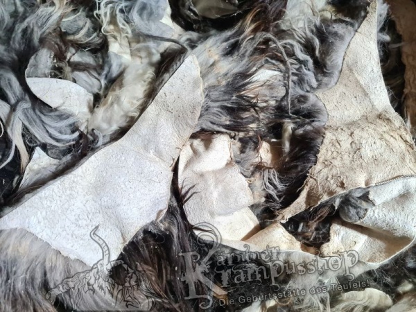 Graue Fell Reste Islandschaf Langhaar