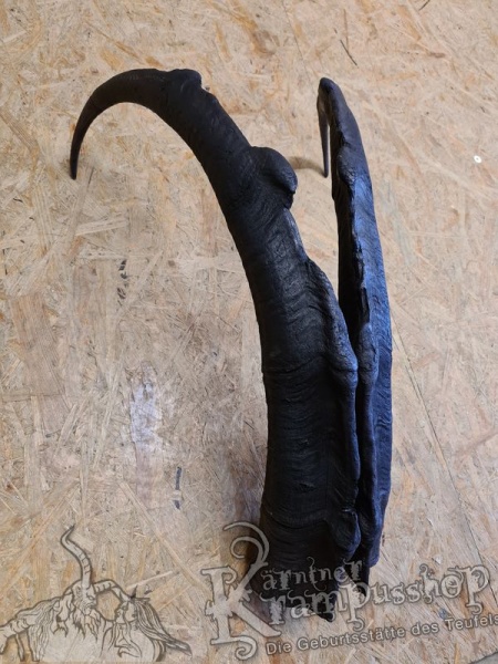 Türkischer Steinbock Bezoar Model AKI