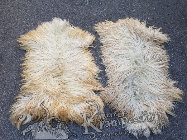 Schaf Langhaar Weiss