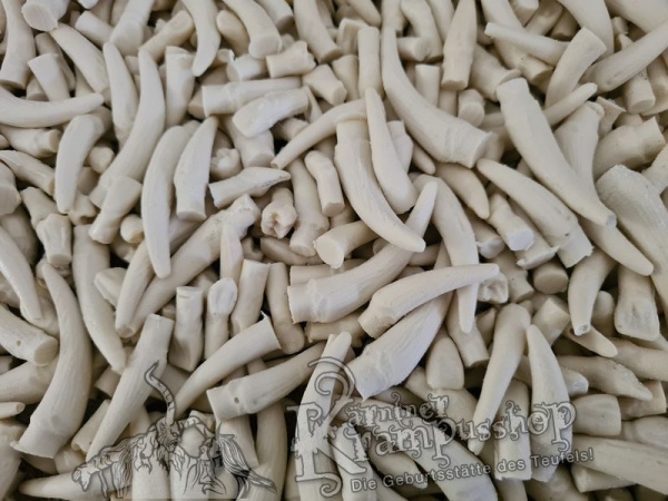 Stiftzähne Gemischt für den Maskeneinbau