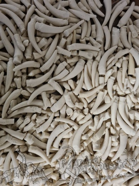 Stiftzähne Gemischt für den Maskeneinbau