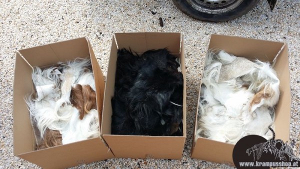 Weisse Fell Reste Schaf Heimisch Urig