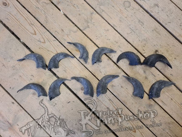 Heimische Widder Dunkel bis 20cm