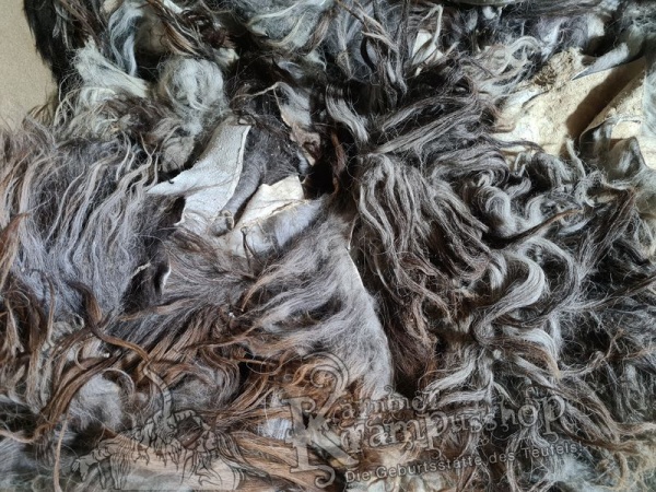 Graue Fell Reste Islandschaf Langhaar