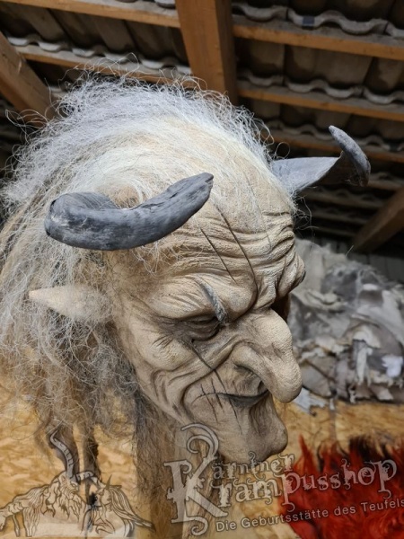 Heimische Widder Dunkel bis 20cm