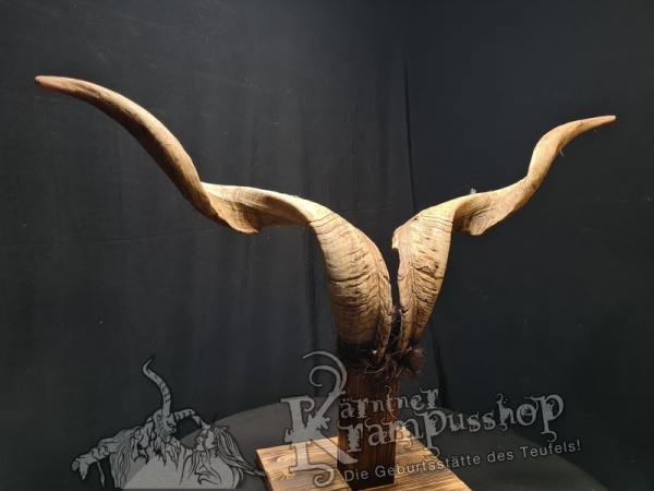 Ziegenbock mit Schädel aus der Region Apulien