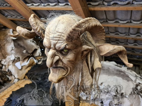 Heimische Widder NATUR Gerade gewachsen