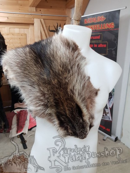 Waschbär Fell Natur