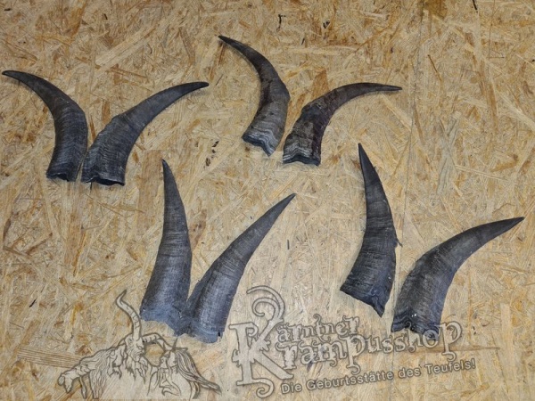 Bock Dunkel Kategorie D