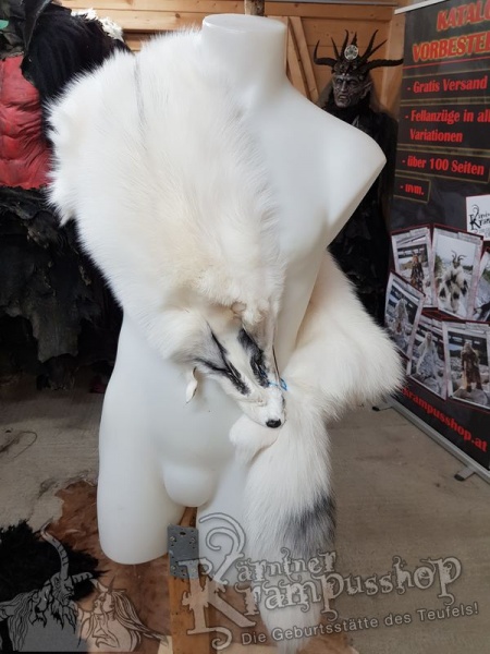 Polar Fuchs Weiss