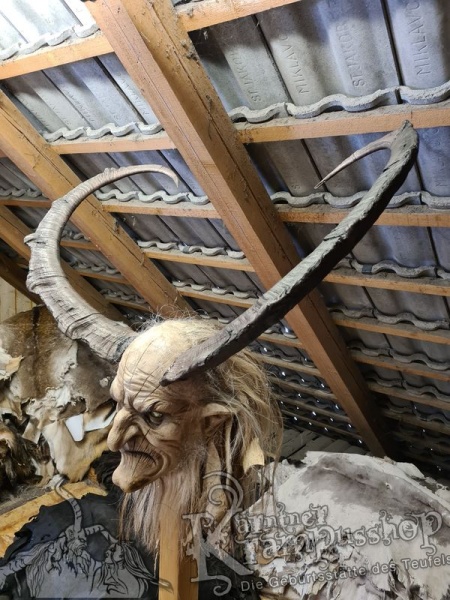 Türkischer Steinbock Bezoar Model Sidal