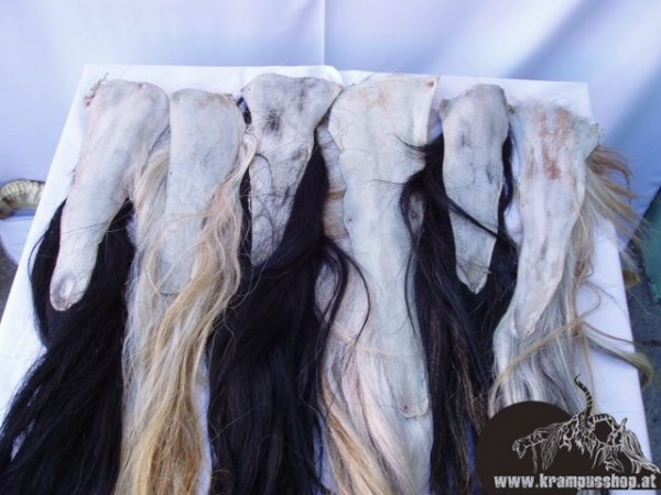 Pferdeschweif Schwarz Ledrig