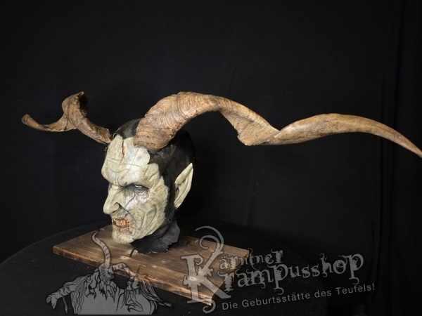 Ziegenbockhörner aus der Region Ampulien