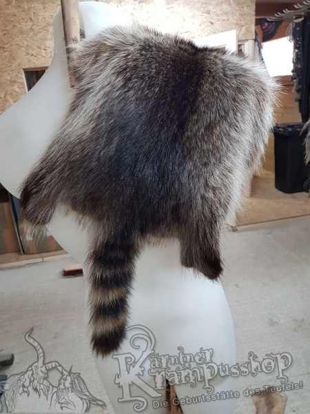 Waschbär Fell Natur