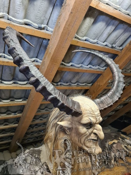 Sibirischer Steinbock Model Bismark