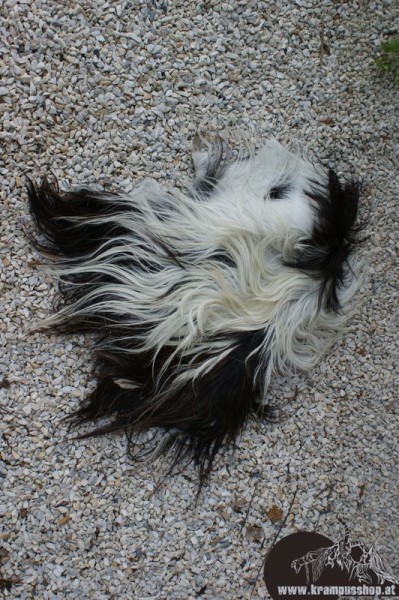 Kopffelle genäht Scheckig Naturgewachsen Kurzhaarig