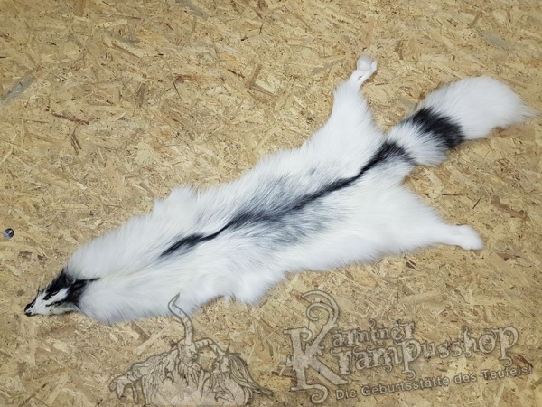 Polar Fuchs grau meliert