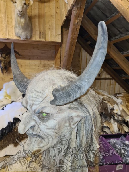 Bock Dunkel Kategorie D