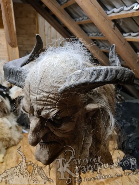 Widder Dunkel bis 40 cm