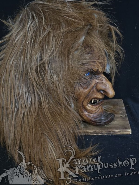 Langhaar Kopffelle Fuchsbraun