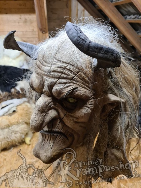 Heimische Widder Dunkel bis 20cm