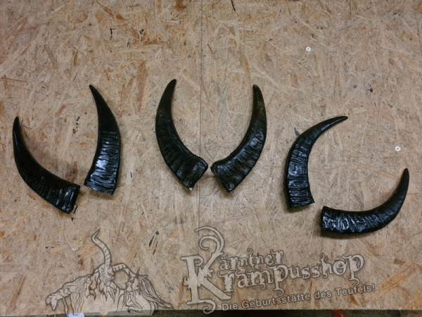 Wasserbüffel Kategorie A