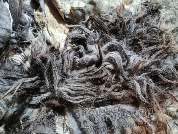 Graue Fell Reste Islandschaf Langhaar