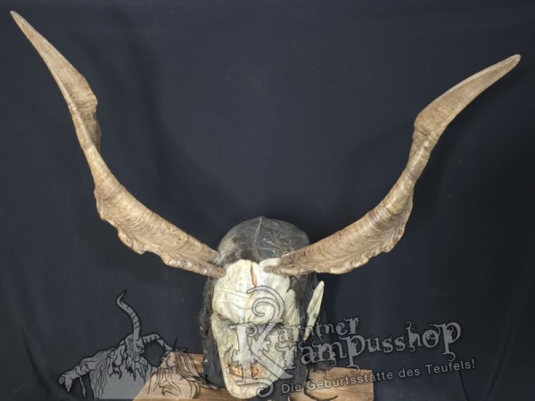 Ziegenbockhörner aus der Region Ampulien