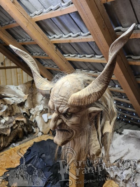 Afrikanische Widder Gross