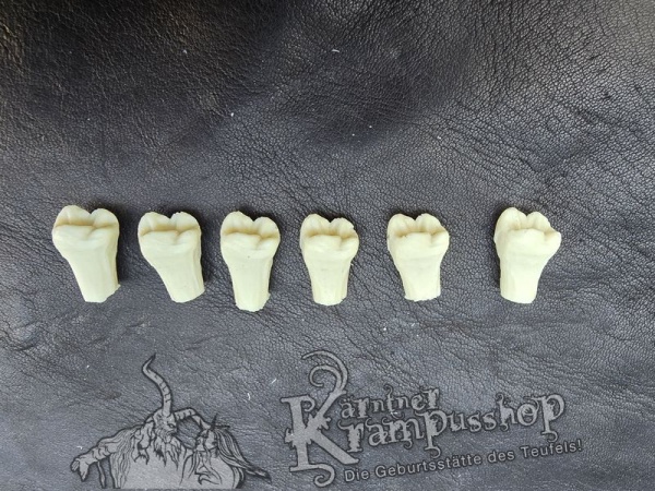 Stiftzähne Einzeln Backenzahn