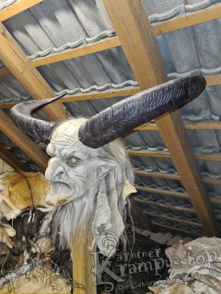 Afrikanischer Mähnenspringer Aoudad