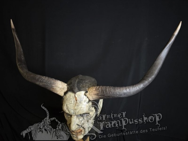 Nyala Antilope gross