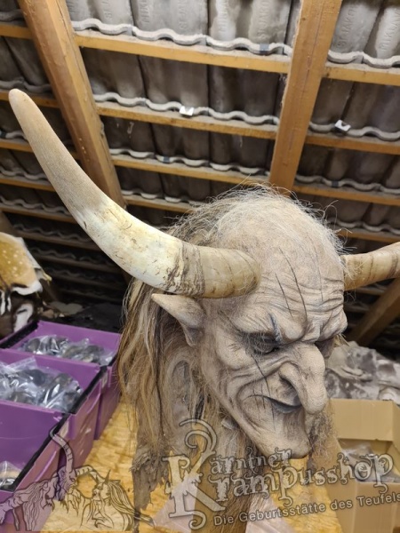 1 Paar Kuhhörner Gross