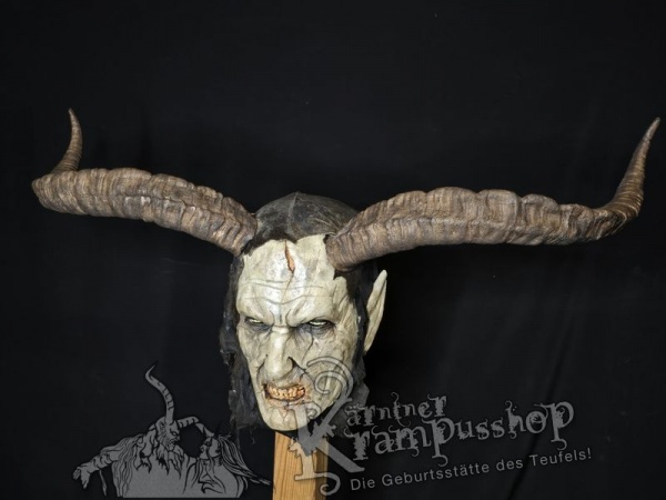 Spanischer Steinbock