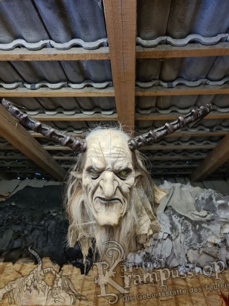 Arabischer Steinbock Model Nubia