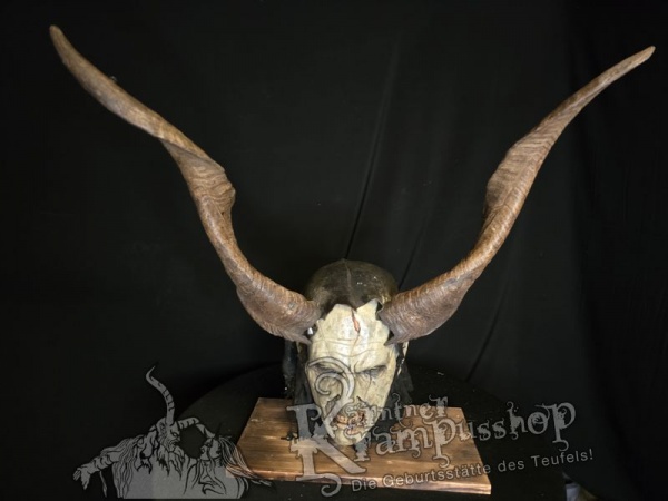 Ziegenbockhörner aus der Region Ampulien