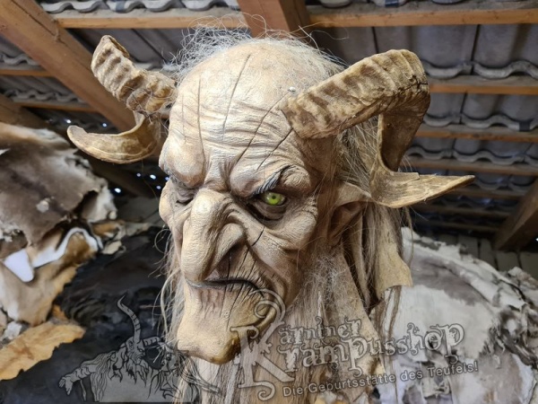 Heimische Widder NATUR Eingedreht Gewachsen